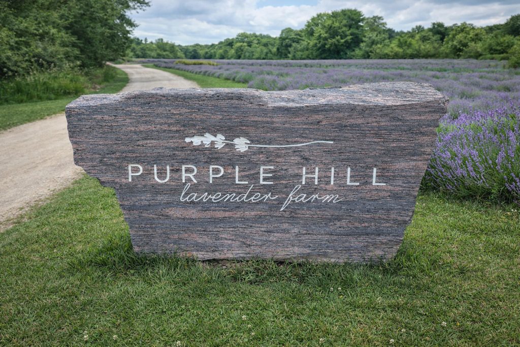 Stone Signs 5